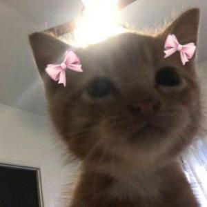 кристюша